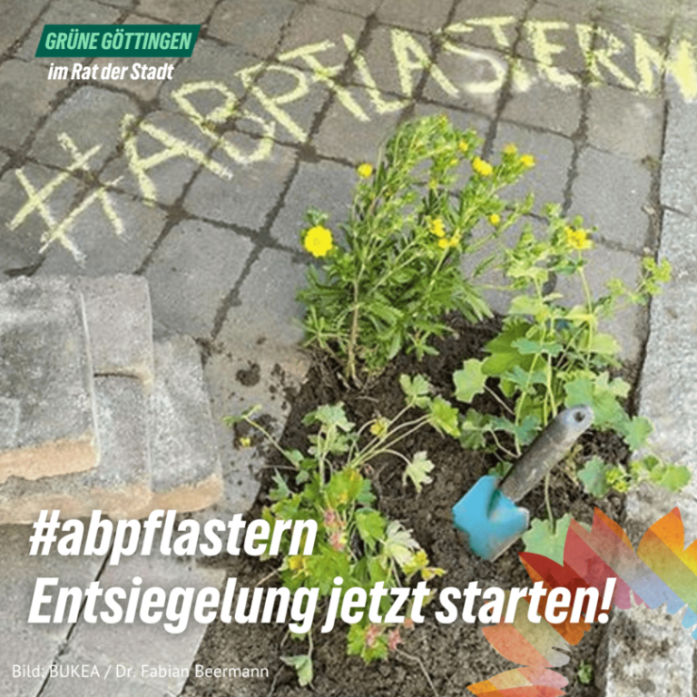Grüne wollen Mitmachen bei Klimaschutz sexy machen