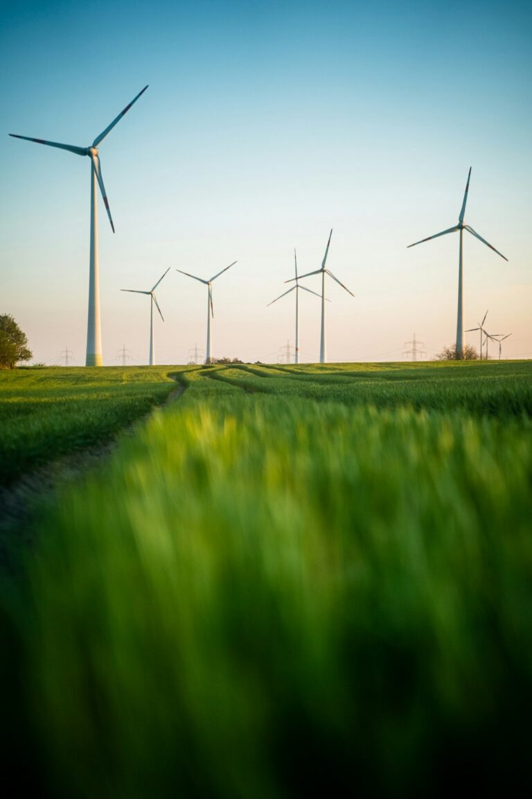 Initiativen zu Demokratie, Sicherheit und Klimaschutz