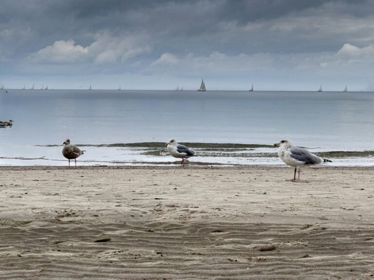Widerstand für das UNESCO-Weltnaturerbe